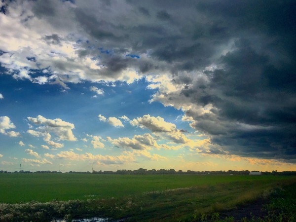 48681754453_73924de2e2_o Print