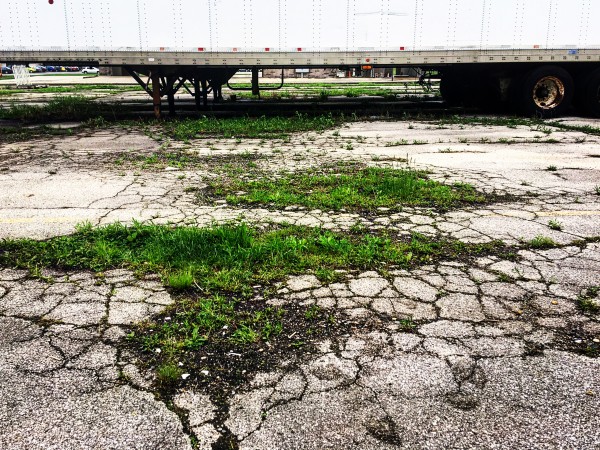 48682091836_f83981afe6_o Print