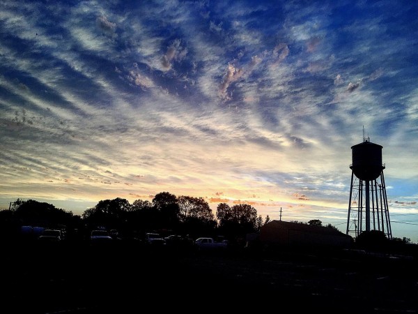 48682092061_1a3ff183b1_o by Ian Van Schepen