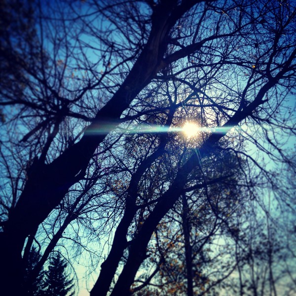 48682265032_ee32617aa9_o Print