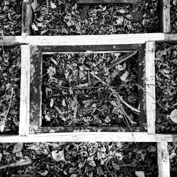 48682266362_52c6ba0bd6_o Print