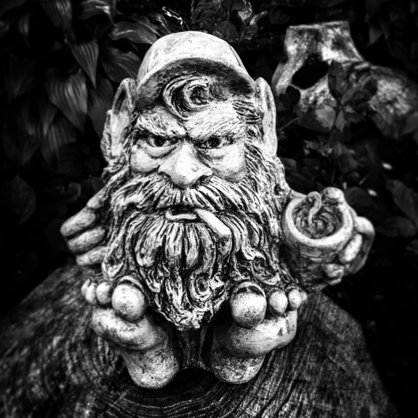 Gnome More Mister Nice Guy by Ian Van Schepen