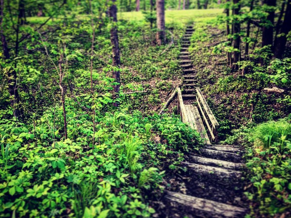 48682267617_bb567ca942_o Print