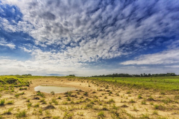 Prairie Pond by Ian Van Schepen