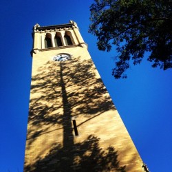 48681751728_95666da713_o