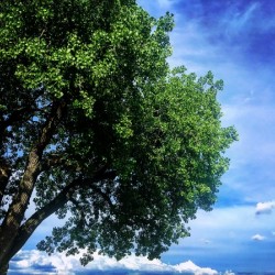 48681752873_fe8571dba2_o