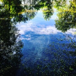 48681753948_12afc046a0_o