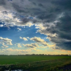 48681754453_73924de2e2_o