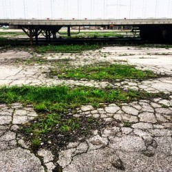 48682091836_f83981afe6_o