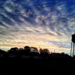 48682092061_1a3ff183b1_o