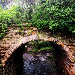 48682092781_ec780e9ea2_o