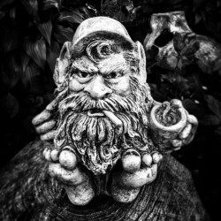 Gnome More Mister Nice Guy