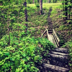 48682267617_bb567ca942_o