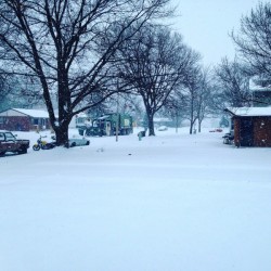 48789570717_c9f915276e_o