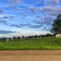 9092280201_d8db4156ba_o