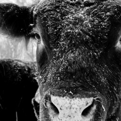 9092758209_c25ebc87ca_o