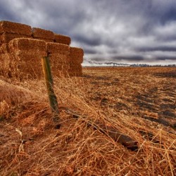 9094944692_703091afd5_o