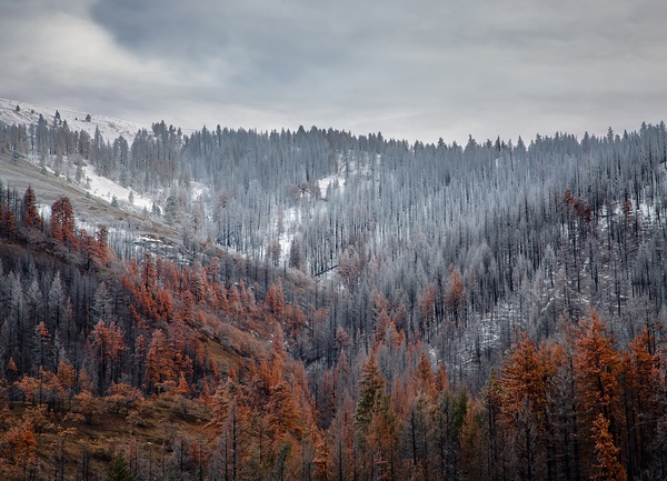 Burnt Valley – Western Art Print by Corey Rudolph