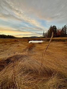 IMG 4789