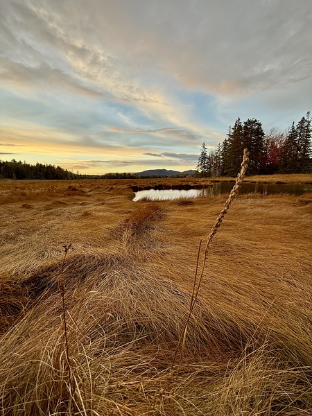 IMG 4789 by Andrew Alexandr