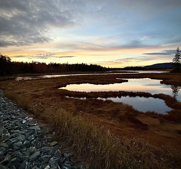 IMG 4795 by Andrew Alexandr