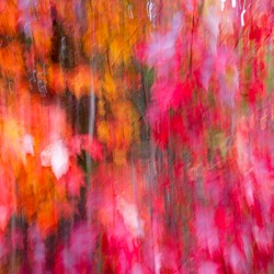 DSCF1613