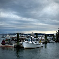 IMG 4778