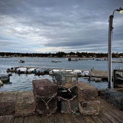 IMG 4779