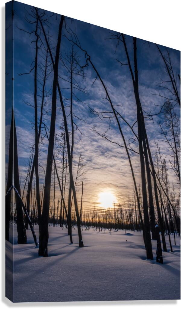 Setting Sun Canvas Print