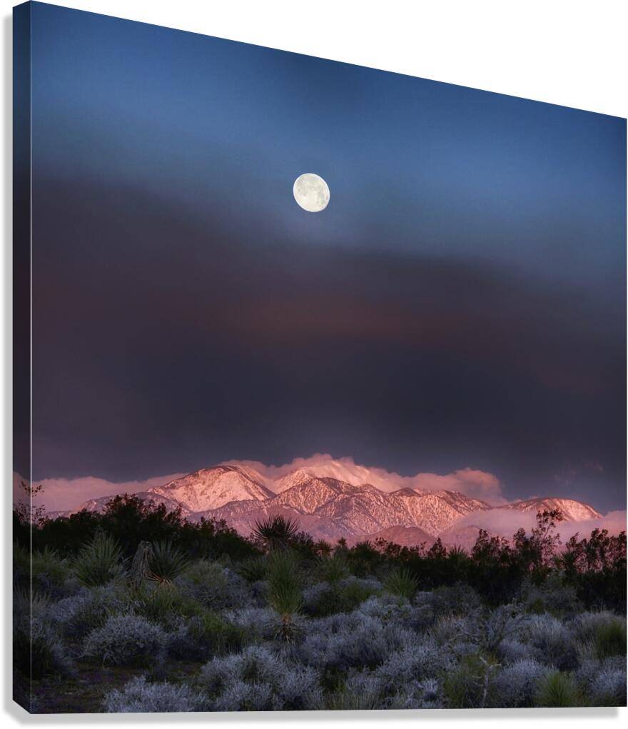 Moon 19 Canvas Print