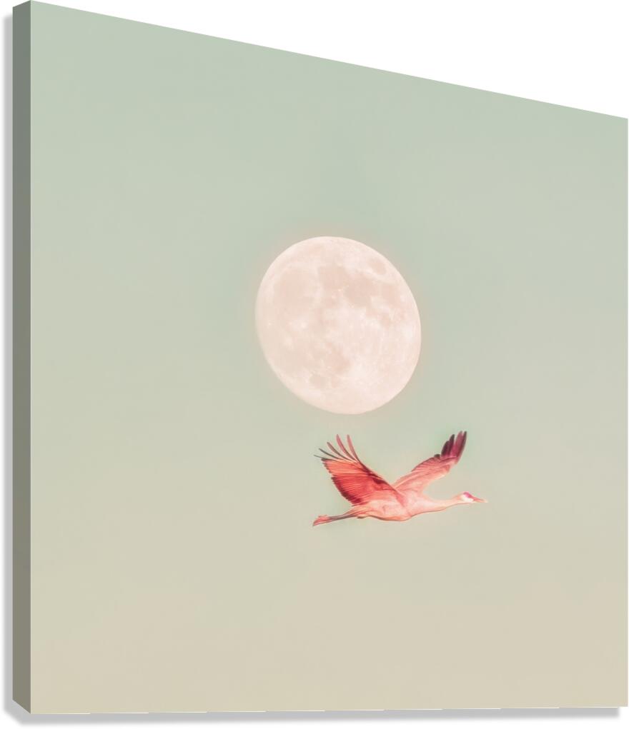 Crane Moon Canvas Print
