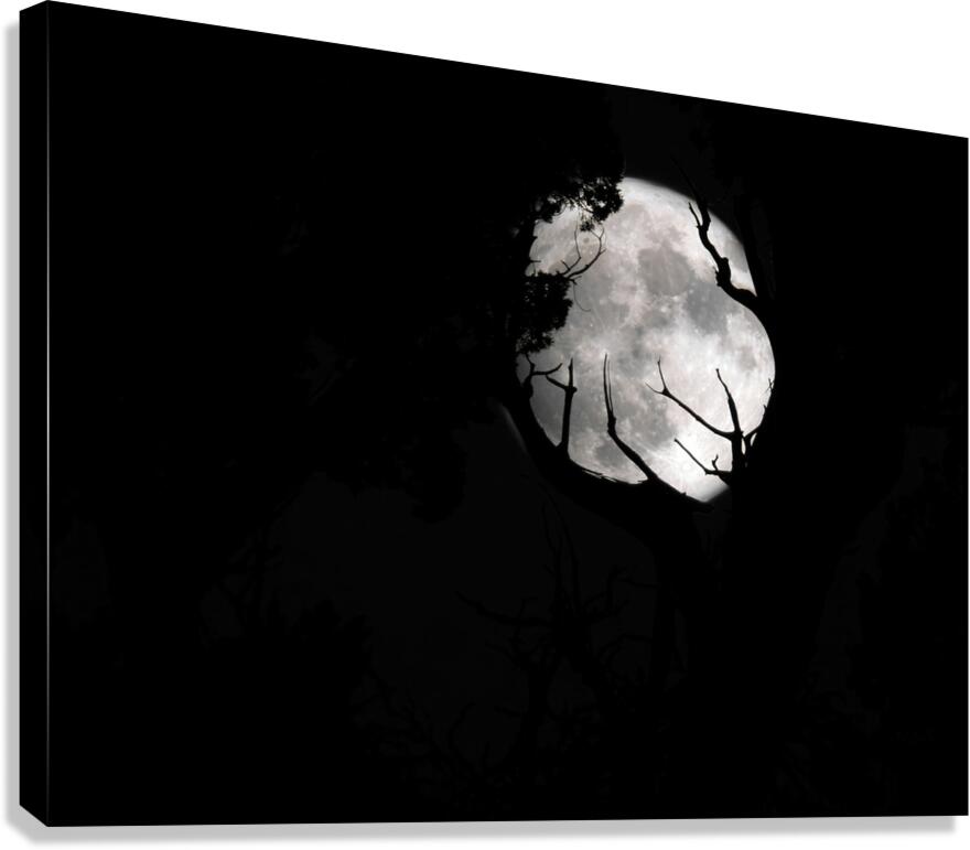 Moon 1 Canvas Print
