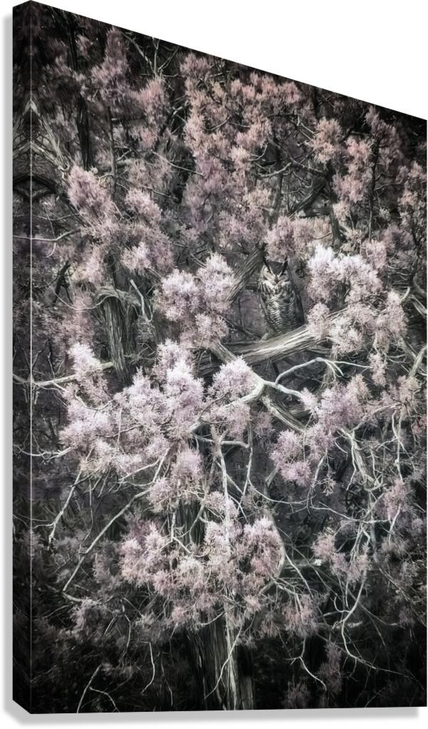 IR Owl Canvas Print