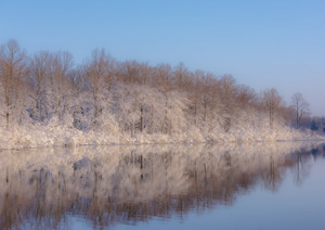 Spring Snow 2023