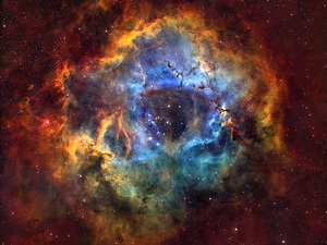 Astronight Astrophotography 9