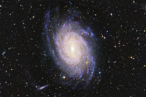 Astronight Astrophotography 6