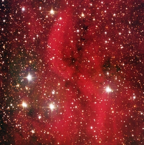 Astronight Astrophotography 4