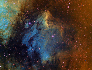 IC 5070 — The Pelican Nebula