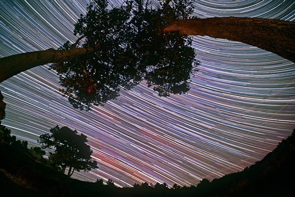 Canopy of Time by Astronight Astrophotography by John Buonomo