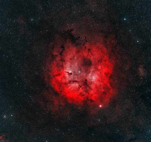 Elephant’s Trunk Nebula by Astronight Astrophotography by John Buonomo