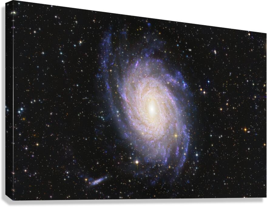 Astronight Astrophotography 6 Canvas Print