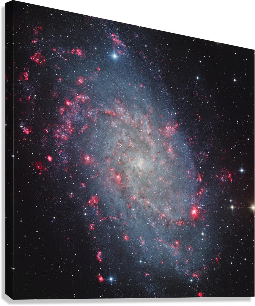 Astronight Astrophotography 12 Canvas Print
