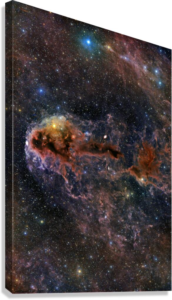 Astronight Astrophotography 13 Canvas Print