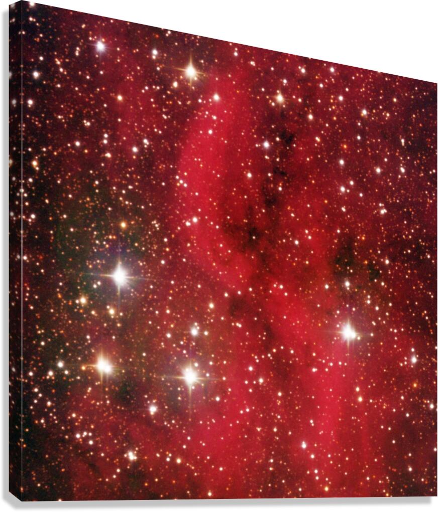 Astronight Astrophotography 4 Canvas Print