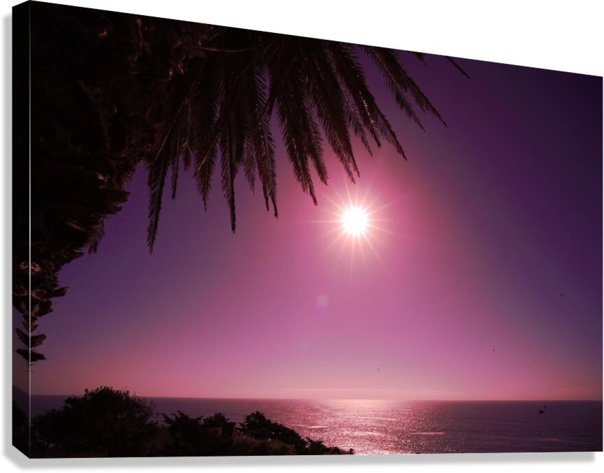 Astronight Astrophotography 9 Canvas Print