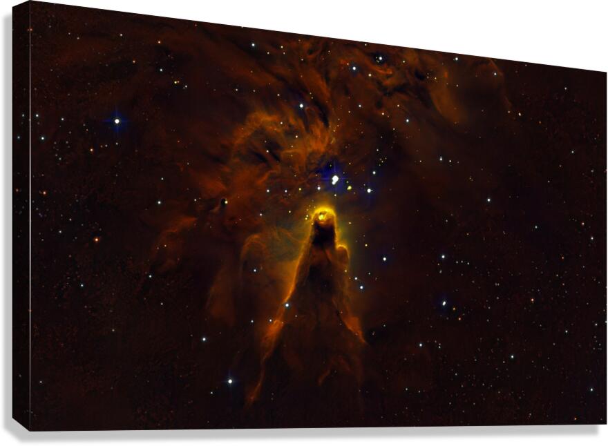 The Cone Nebula Canvas Print