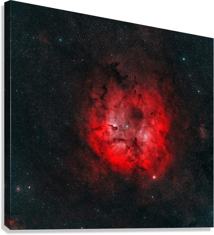 Elephant’s Trunk Nebula Canvas Print