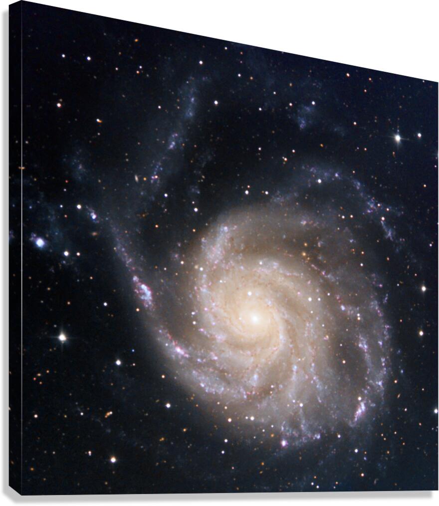 Pinwheel Galaxy Canvas Print