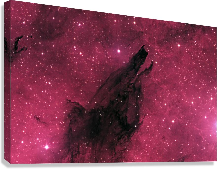 Shark Fin Nebula Canvas Print