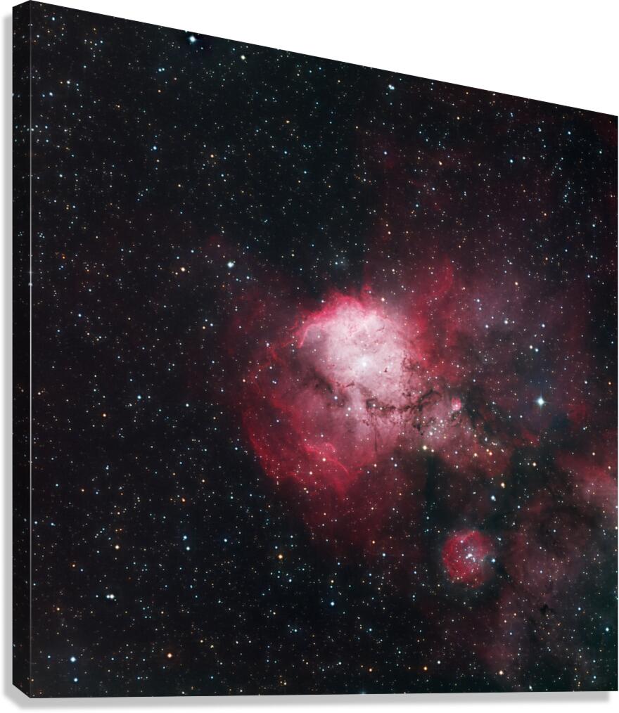 Stellar Nursery Canvas Print